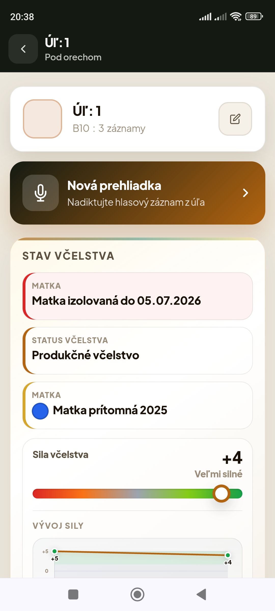 Detail úľa s produkčným včelstvom a izolovanou matkou
